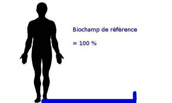 mesure d'un biochamp de référence : base 100