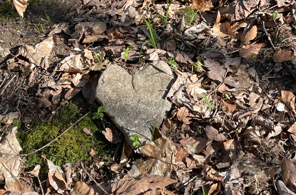 une pierre en forme de cœur, dans une forêt