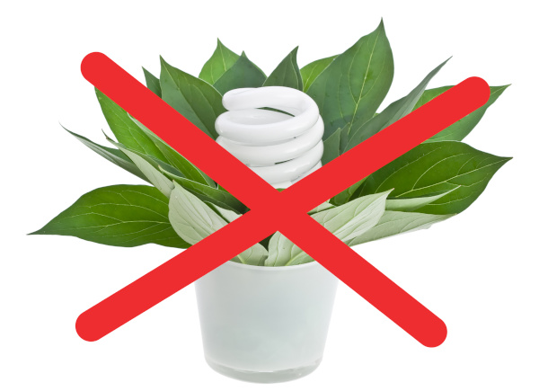 fin de la propagande écologique pour les ampoules fluocompactes