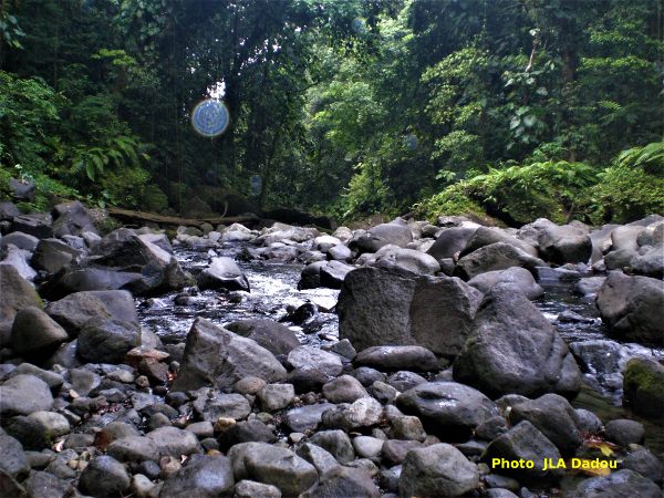 orbes au-dessus d'un ruisseau, seconde photo