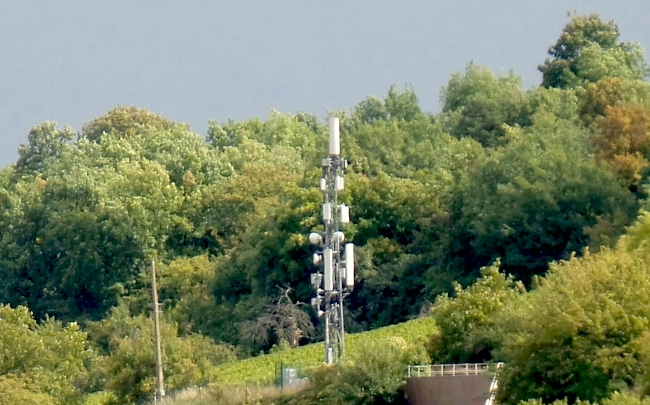 antenne de radiotéléphonie mobile en forêt