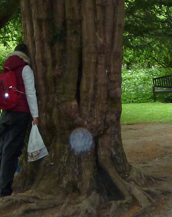 Orbe en Angleterre, Glastonbury dans le jardin de Challice Garden - Photo transmise par Anne D.