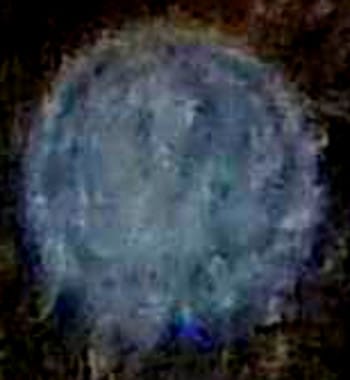 Détail de l'orbe de Challice Garden sur la photo ci-dessus