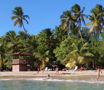 La plage des Salines en Martinique