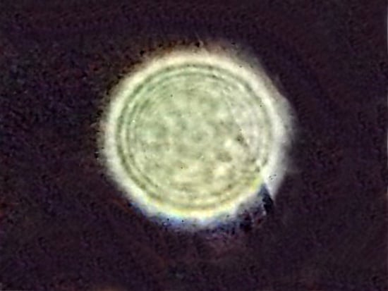 Photo d'un orbe de couleur verte