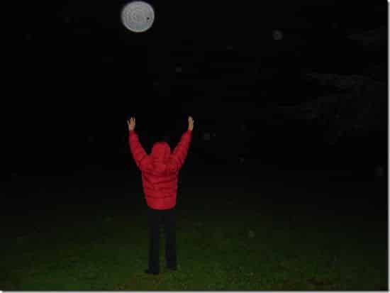 Orbes dans un jardin - photo transmise par Christine