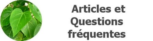 Articles et questions fréquentes